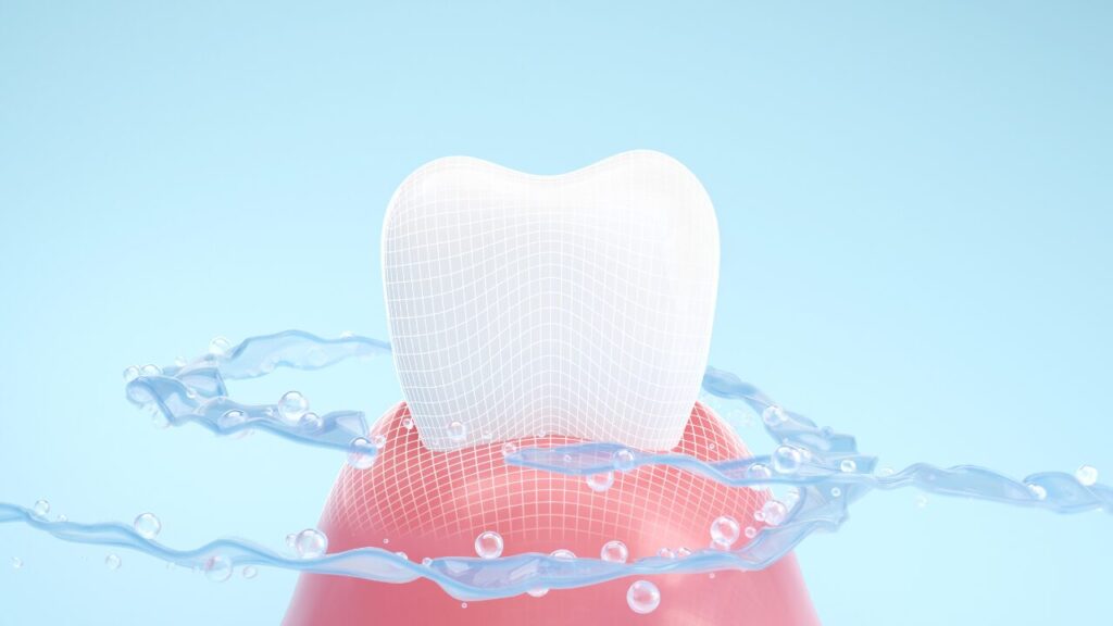 歯と歯茎の3Dモデル。歯のクリーニングのイメージ画像。
